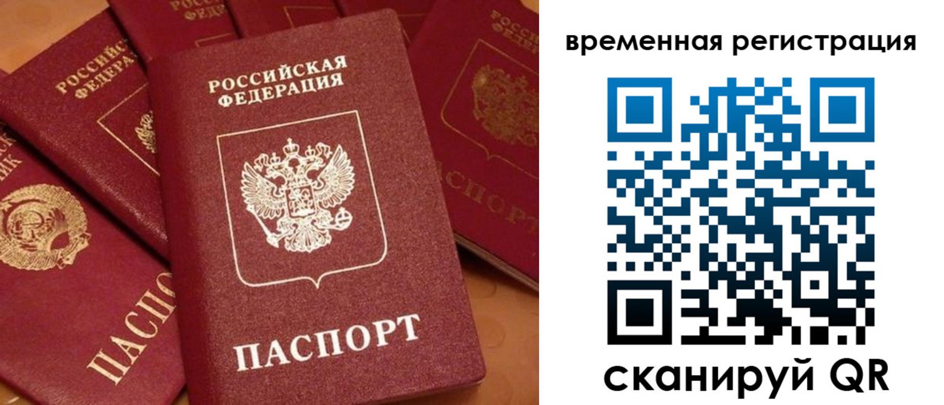где прописаться в Сураже